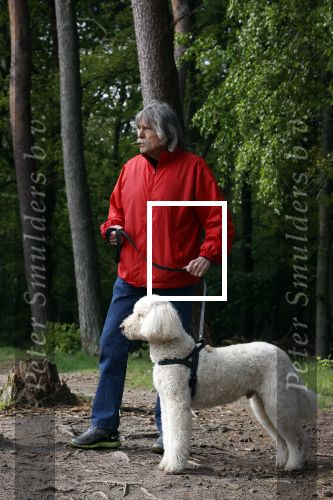 Rolde 19 mei 2021
Johan Derksen aan het wandelen met zijn hond in de boosen bij Rolde