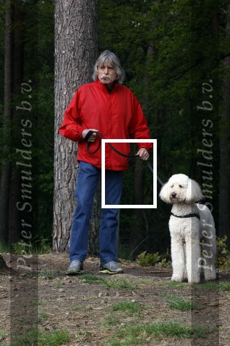 Rolde 19 mei 2021
Johan Derksen aan het wandelen met zijn hond in de boosen bij Rolde