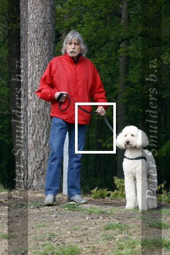 Rolde 19 mei 2021
Johan Derksen aan het wandelen met zijn hond in de boosen bij Rolde
