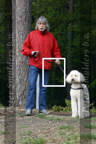 Rolde 19 mei 2021
Johan Derksen aan het wandelen met zijn hond in de boosen bij Rolde