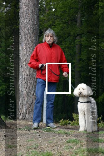 Rolde 19 mei 2021
Johan Derksen aan het wandelen met zijn hond in de boosen bij Rolde