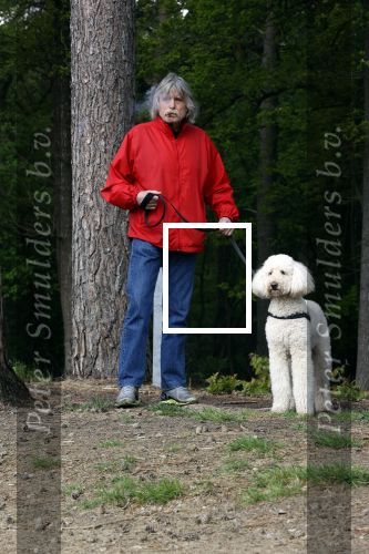 Rolde 19 mei 2021
Johan Derksen aan het wandelen met zijn hond in de boosen bij Rolde