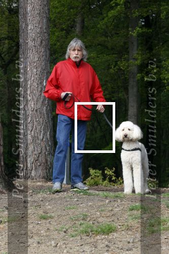 Rolde 19 mei 2021
Johan Derksen aan het wandelen met zijn hond in de boosen bij Rolde