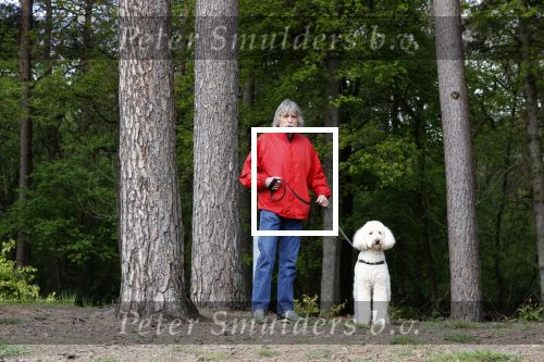 Rolde 19 mei 2021
Johan Derksen aan het wandelen met zijn hond in de boosen bij Rolde