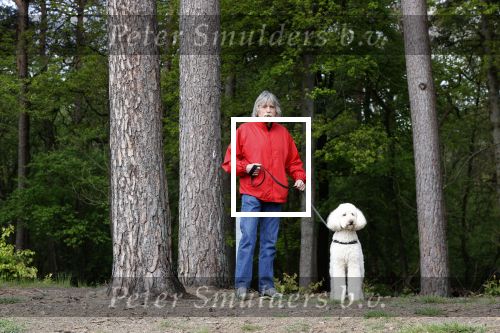 Rolde 19 mei 2021
Johan Derksen aan het wandelen met zijn hond in de boosen bij Rolde