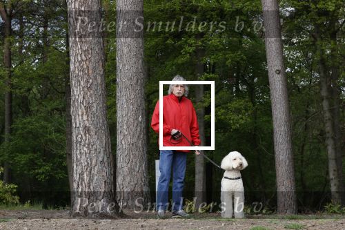 Rolde 19 mei 2021
Johan Derksen aan het wandelen met zijn hond in de boosen bij Rolde