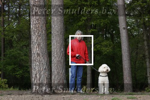 Rolde 19 mei 2021
Johan Derksen aan het wandelen met zijn hond in de boosen bij Rolde