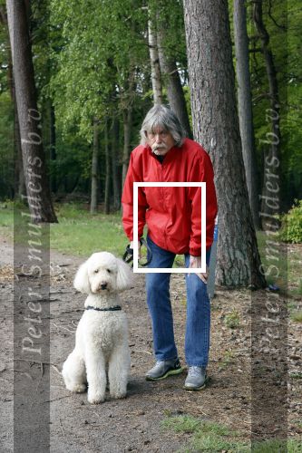 Rolde 19 mei 2021
Johan Derksen aan het wandelen met zijn hond in de boosen bij Rolde