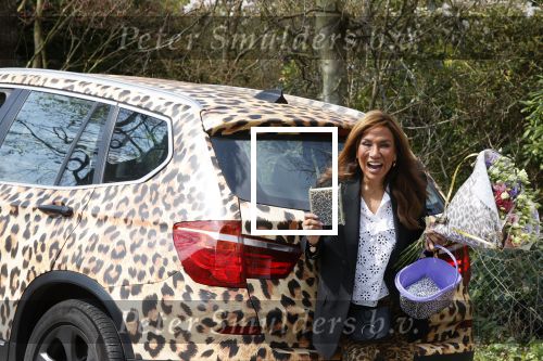Bergen 19 april 2021
Patty Brard brengt een box met haar produkten rond naar Bn ers . Haar auto is in tijger kleuren gewrapt