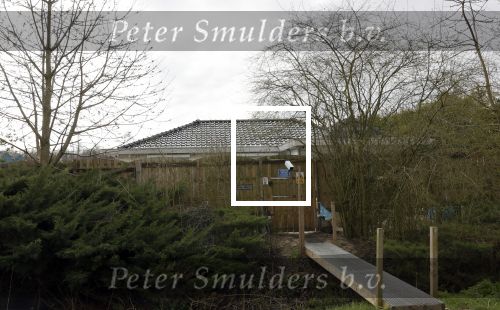 Almere 8 april 2021
Huis van de vriendin van Peter Jan Rens Willeke Schoonewille