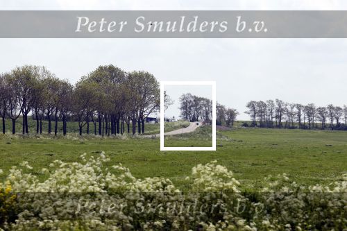 Broek en Waterland 20 mei 2021
Politie doet onderzoek naar de schietpartij/overval in Broek en Waterland . oa Karin Bloemen en boer Geet Jan v Meerveld wonen daar.