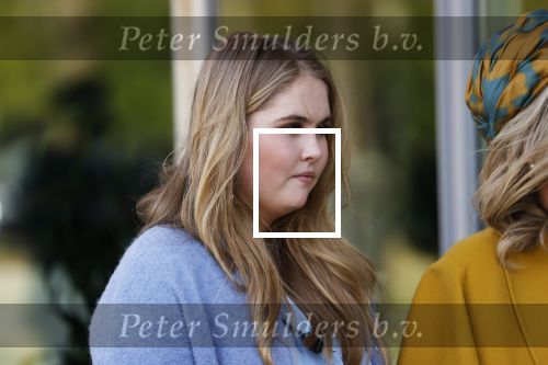 Eindhoven 27 april 2021
Koningsdag 2021 op de High tech Campus in Eindhoven.
Prinses Amalia
