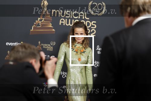 Rotterdam 28 april 2022
Musicalawards gala in Ahoy Rotterdam. Angela Schijf
