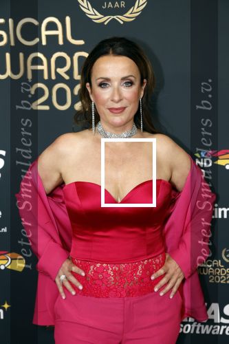 Rotterdam 28 april 2022
Musicalawards gala in Ahoy Rotterdam.
Annick Boer met partner