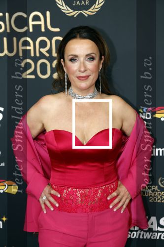 Rotterdam 28 april 2022
Musicalawards gala in Ahoy Rotterdam.
Annick Boer met partner