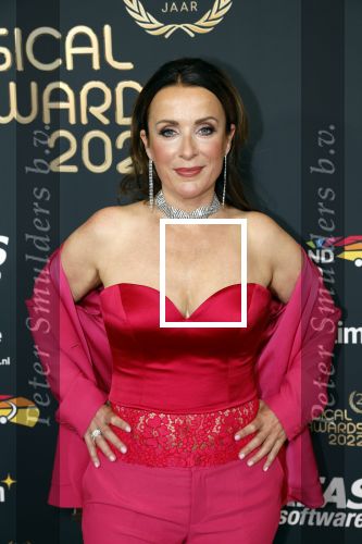 Rotterdam 28 april 2022
Musicalawards gala in Ahoy Rotterdam.
Annick Boer met partner