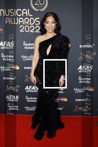Rotterdam 28 april 2022
Musicalawards gala in Ahoy Rotterdam.
April Darby met partner