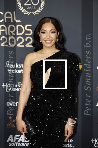 Rotterdam 28 april 2022
Musicalawards gala in Ahoy Rotterdam.
April Darby met partner