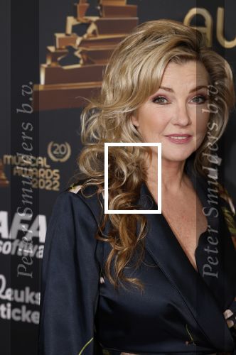 Rotterdam 28 april 2022
Musicalawards gala in Ahoy Rotterdam.
Brigitte Nijman met haar partner