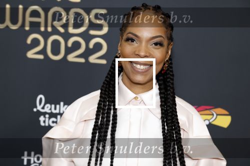 Rotterdam 28 april 2022
Musicalawards gala in Ahoy Rotterdam.
Carolina Dijkhuizen