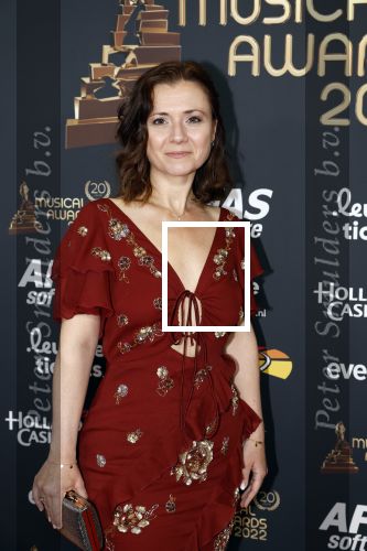 Rotterdam 28 april 2022
Musicalawards gala in Ahoy Rotterdam.
Celine Purcell en Oren Schrijver