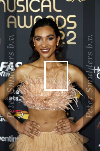Rotterdam 28 april 2022
Musicalawards gala in Ahoy Rotterdam.
Danique Graanoogst