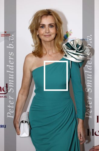 Maastricht 8 mei 2022
Premiere dagboek van en herdershond in het MECC .
Daphne Deckers