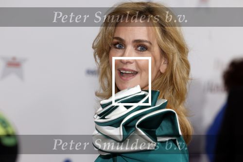 Maastricht 8 mei 2022
Premiere dagboek van en herdershond in het MECC .
Daphne Deckers