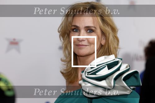 Maastricht 8 mei 2022
Premiere dagboek van en herdershond in het MECC .
Daphne Deckers