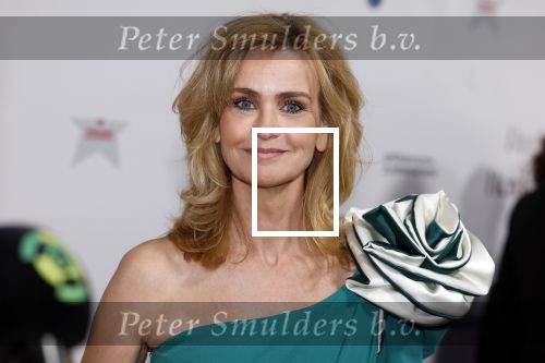 Maastricht 8 mei 2022
Premiere dagboek van en herdershond in het MECC .
Daphne Deckers