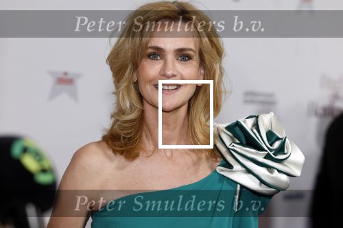 Maastricht 8 mei 2022
Premiere dagboek van en herdershond in het MECC .
Daphne Deckers