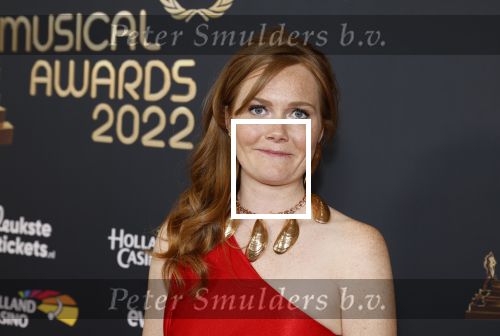 Rotterdam 28 april 2022
Musicalawards gala in Ahoy Rotterdam.
Dorien van Gent