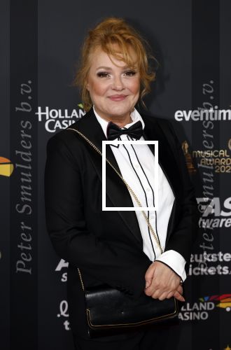 Rotterdam 28 april 2022
Musicalawards gala in Ahoy Rotterdam.
Ellen Pieters met partner