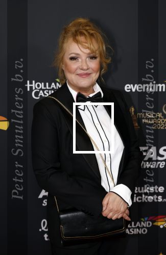 Rotterdam 28 april 2022
Musicalawards gala in Ahoy Rotterdam.
Ellen Pieters met partner