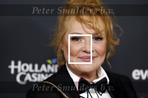Rotterdam 28 april 2022
Musicalawards gala in Ahoy Rotterdam.
Ellen Pieters met partner