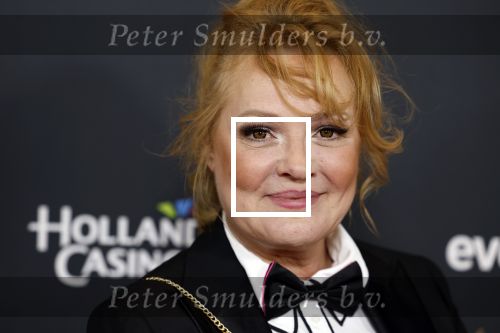 Rotterdam 28 april 2022
Musicalawards gala in Ahoy Rotterdam.
Ellen Pieters met partner