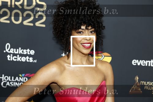 Rotterdam 28 april 2022
Musicalawards gala in Ahoy Rotterdam.
Fenna Ramos en ...