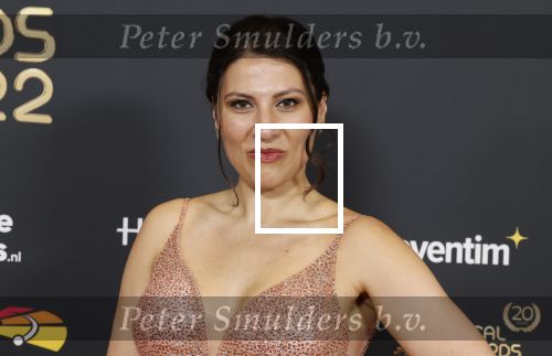 Rotterdam 28 april 2022
Musicalawards gala in Ahoy Rotterdam.
Fred Boot met partner