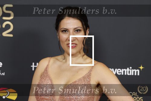 Rotterdam 28 april 2022
Musicalawards gala in Ahoy Rotterdam.
Fred Boot met partner