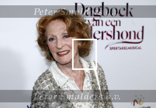 Maastricht 8 mei 2022
Premiere dagboek van en herdershond in het MECC .
Gerrie v d Klei