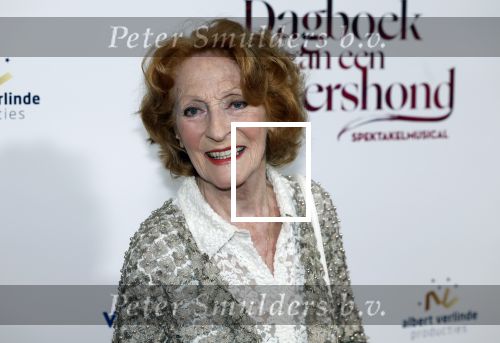 Maastricht 8 mei 2022
Premiere dagboek van en herdershond in het MECC .
Gerrie v d Klei