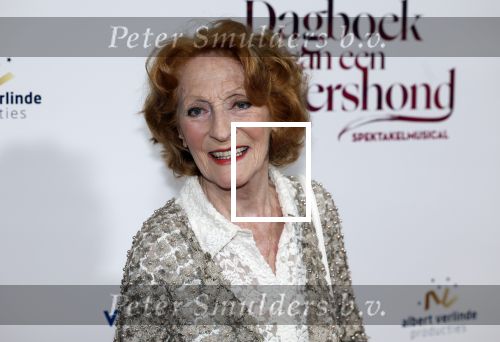Maastricht 8 mei 2022
Premiere dagboek van en herdershond in het MECC .
Gerrie v d Klei