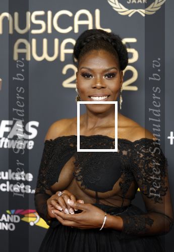 Rotterdam 28 april 2022
Musicalawards gala in Ahoy Rotterdam.
Imanuelle Grives kwam met haar zus
