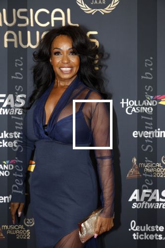 Rotterdam 28 april 2022
Musicalawards gala in Ahoy Rotterdam.
Joanne Telesford kwam met haar dochter