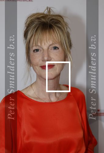 Maastricht 8 mei 2022
Premiere dagboek van en herdershond in het MECC .
Johanna ter Steege kwam met haar man