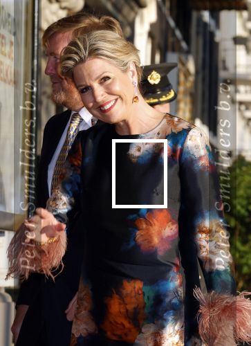 Amsterdam 5 mei 2022
5 mei concert op de amstel bij Carre met oa aanwezig Koning Willem Alexander en Koningin Maxima .