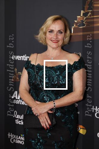 Rotterdam 28 april 2022
Musicalawards gala in Ahoy Rotterdam.
Marleen v d Loo