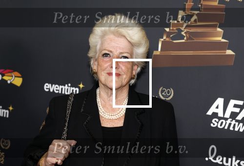 Rotterdam 28 april 2022
Musicalawards gala in Ahoy Rotterdam. Pamela teves