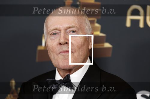 Rotterdam 28 april 2022
Musicalawards gala in Ahoy Rotterdam.
Peter Tuinman