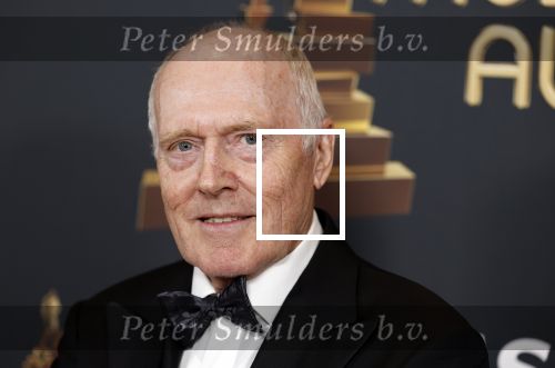 Rotterdam 28 april 2022
Musicalawards gala in Ahoy Rotterdam.
Peter Tuinman